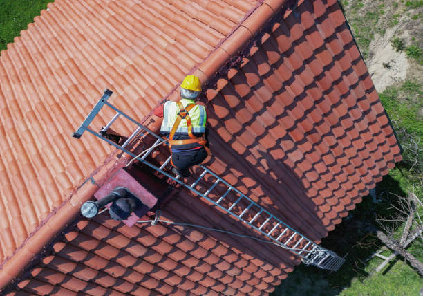 Best Roof Moss and Algae Removal  in Lakeland, NY